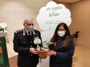 Cento 'Alberi di Falcone' alle scuole siciliane