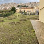 Ambiente: a Gangi 'Un albero per ogni bambino' nato nel 2021