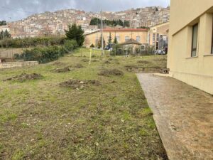 Ambiente: a Gangi 'Un albero per ogni bambino' nato nel 2021