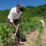 Made in Ragusa: crescono export e startup, mancano operai specializzati