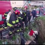 «C'è un cane giù dal ponte!», e arrivano i pompieri VIDEO