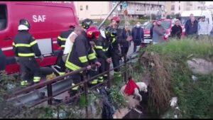 «C'è un cane giù dal ponte!», e arrivano i pompieri VIDEO