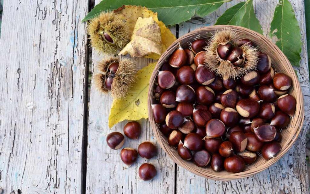 Le castagne fanno ingrassare? Calorie, propriet&agrave; e benefici