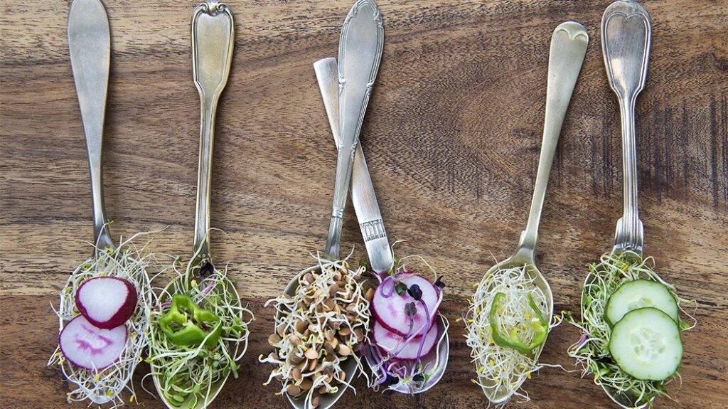 Cos&rsquo;&egrave; la Dieta Sirt e in che cosa consiste