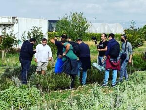 Export cresciuto del 39% in due anni, nessuna provincia siciliana ha fatto meglio