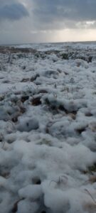 Neve di mare a Sampieri FOTO VIDEO