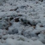 Neve di mare a Sampieri FOTO VIDEO
