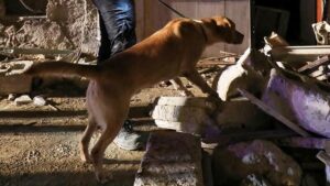 Strage a Ravanusa, come è stato possibile: la maxi inchiesta sul disastro