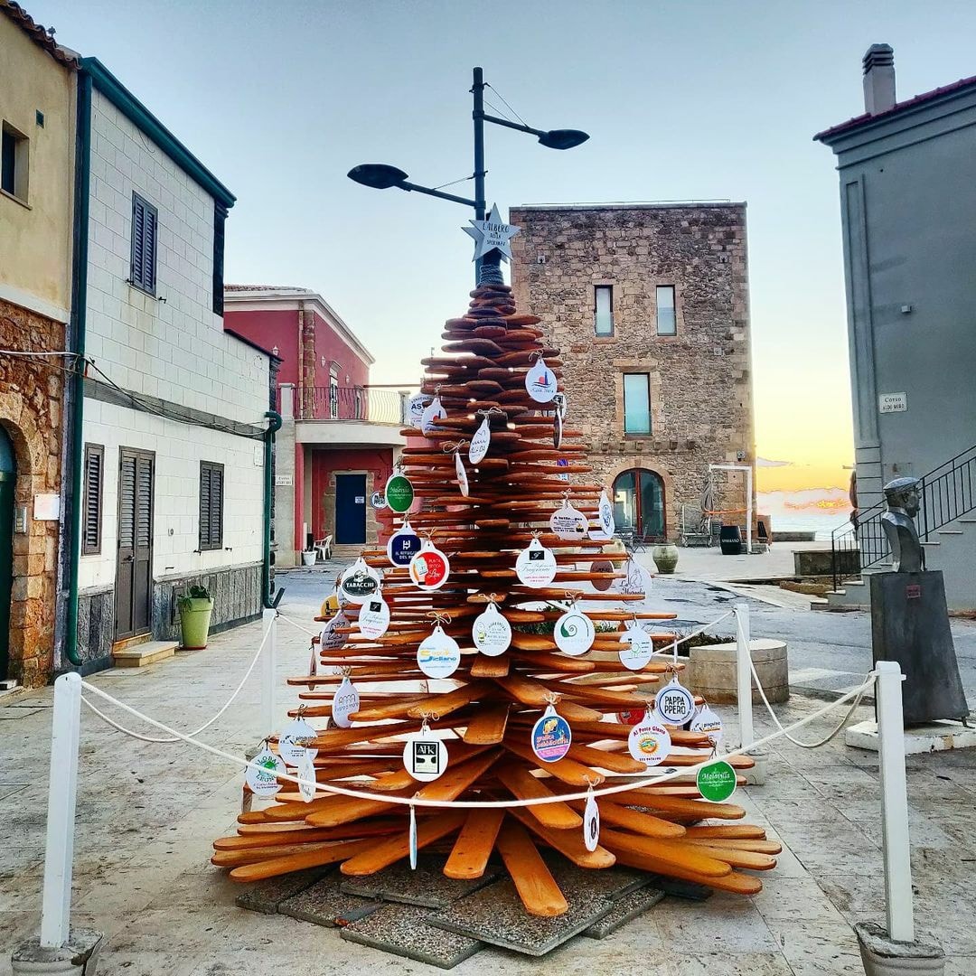 A Punta Secca rispunta l’albero-pigna della speranza