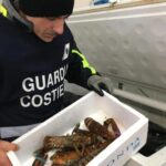 ++ Natale, Guardia Costiera sequestra 170 tonnellate pesce ++
