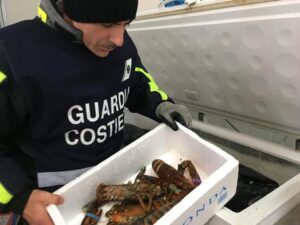 ++ Natale, Guardia Costiera sequestra 170 tonnellate pesce ++