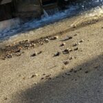 Messina: nota stampa Open Fiber disservizio idrico via Noviziato Casazza