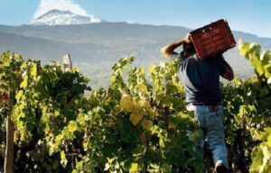 Vino, torna Contrade dell’Etna, si terrà nell'aprile 2022