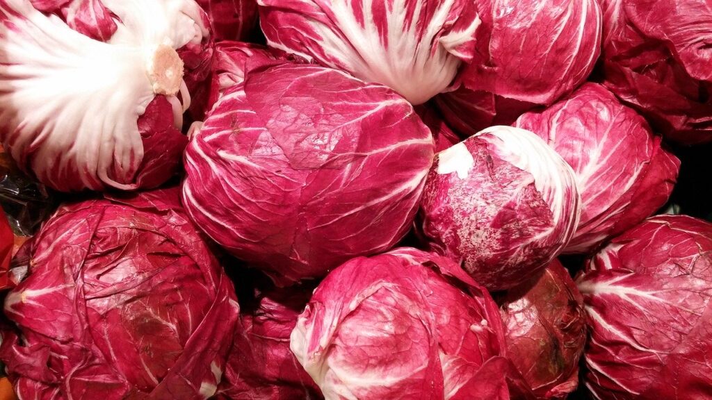 Propriet&agrave; del radicchio: indicato nelle diete ipocaloriche