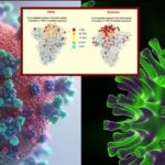 Deltacron, la nuova variante che combina Delta e Omicron