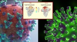 Deltacron, la nuova variante che combina Delta e Omicron