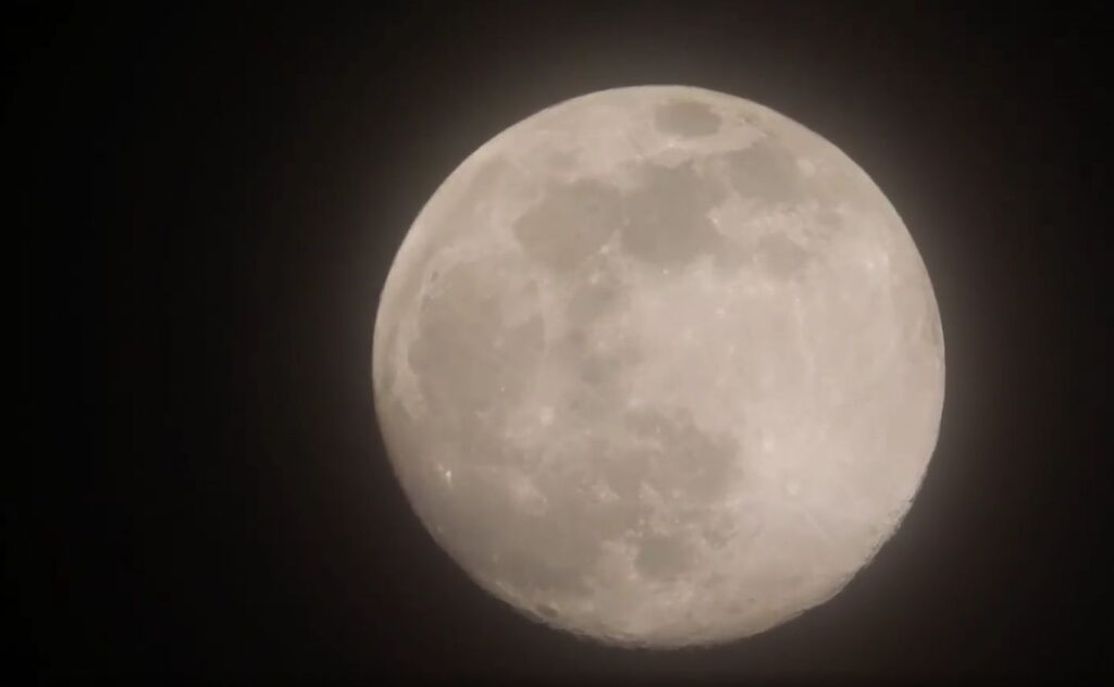 L&rsquo;agghiacciante ululato del &ldquo;licantropo&rdquo; alla luna piena VIDEO