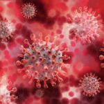 Intestino e sintomi da Covid-19: come può aiutarci la dieta