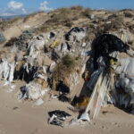 Disastro ambientale, sequestrati 7 km di arenile