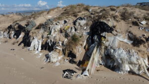 Disastro ambientale, sequestrati 7 km di arenile