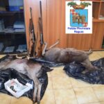 denunciati tre bracconieri a caccia di daini