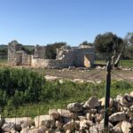 Datata tra il V e il VI Sec