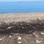 Eruzione Etna, cenere fino al mare di Messina VIDEO
