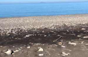 Eruzione Etna, cenere fino al mare di Messina VIDEO