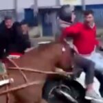 Corsa di cavalli in pieno giorno a Brancaccio, 4 denunce VIDEO