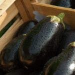 Melanzane per la dieta: piatti semplici e gustosi per dimagrire