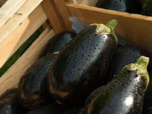 Melanzane per la dieta: piatti semplici e gustosi per dimagrire