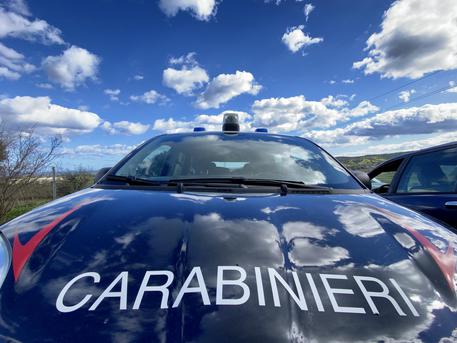 Cadavere di donna trovato fatto a pezzi nel Bresciano