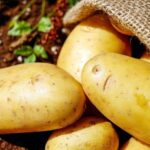 Dieta delle patate per dimagrire 5 chili in pochi giorni