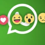 WhatsApp lancia le reazioni ai messaggi