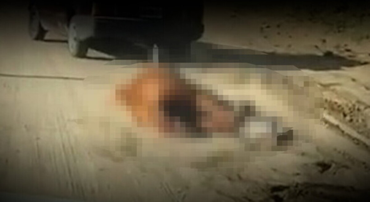 Acate, domenica protesta animalisti per pony massacrato, rischio disordini