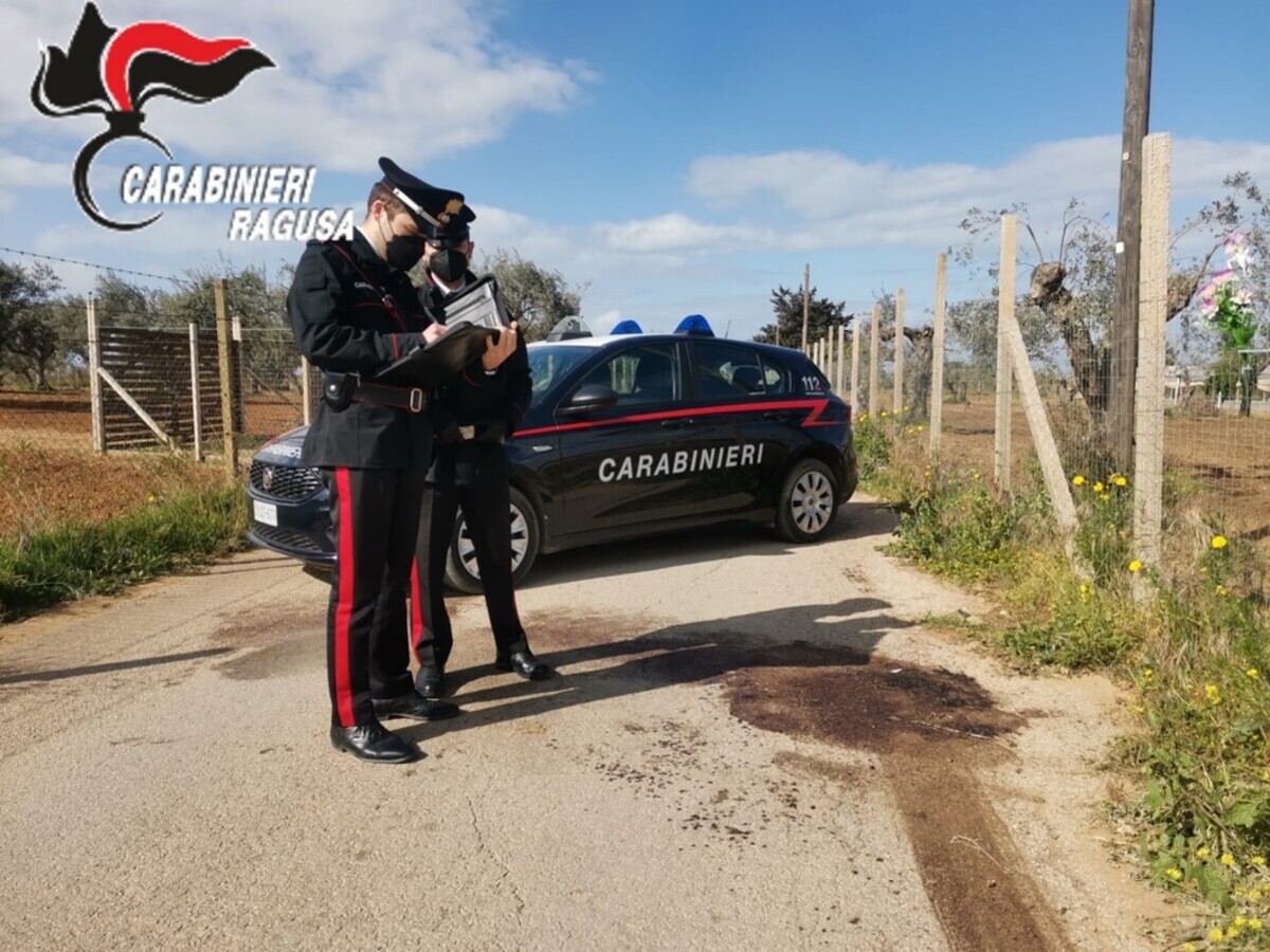 Acate, denunciato un 32enne per furto e uccisione del pony