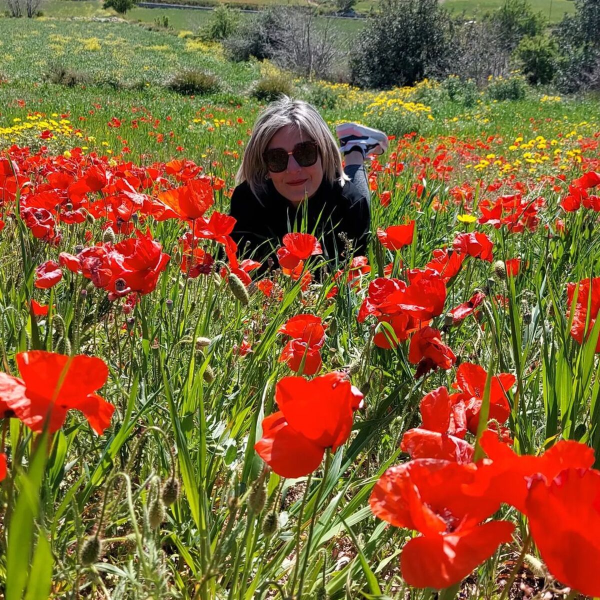 I papaveri rossi di Chiaramonte Gulfi FOTO