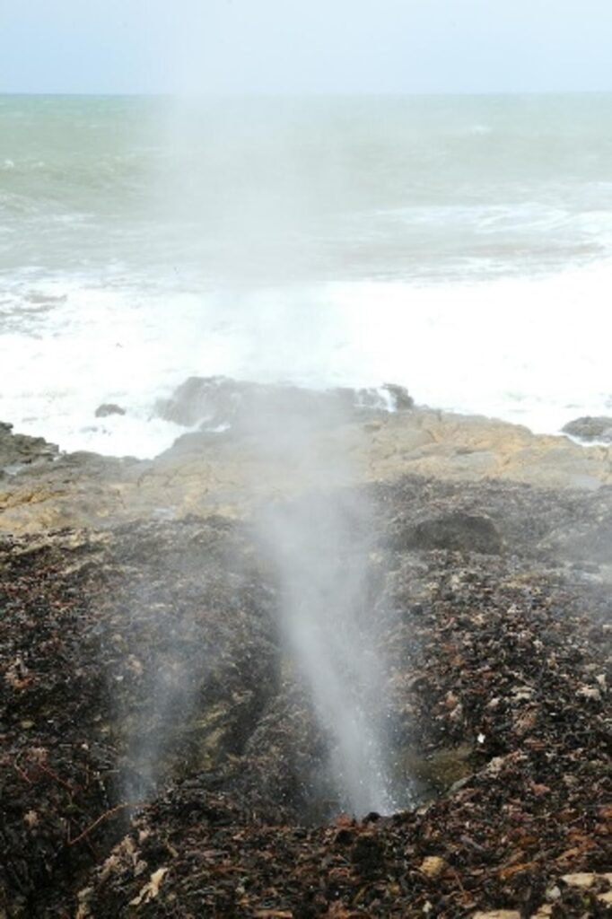 Sampieri, non sono soffioni