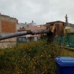 Vento forte sul ragusano: albero crolla a Vittoria, disagi a Comiso