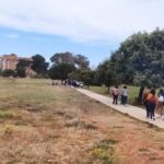 Musei e parchi aperti, boom di visitatori a Selinunte
