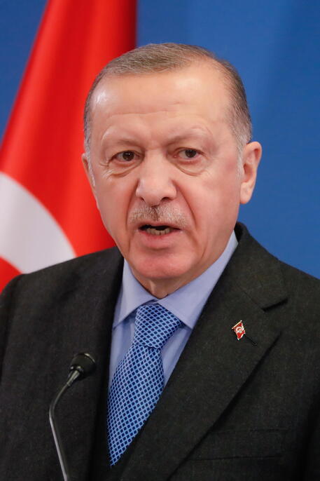 Erdogan, piano per rimpatrio 1 milione di siriani