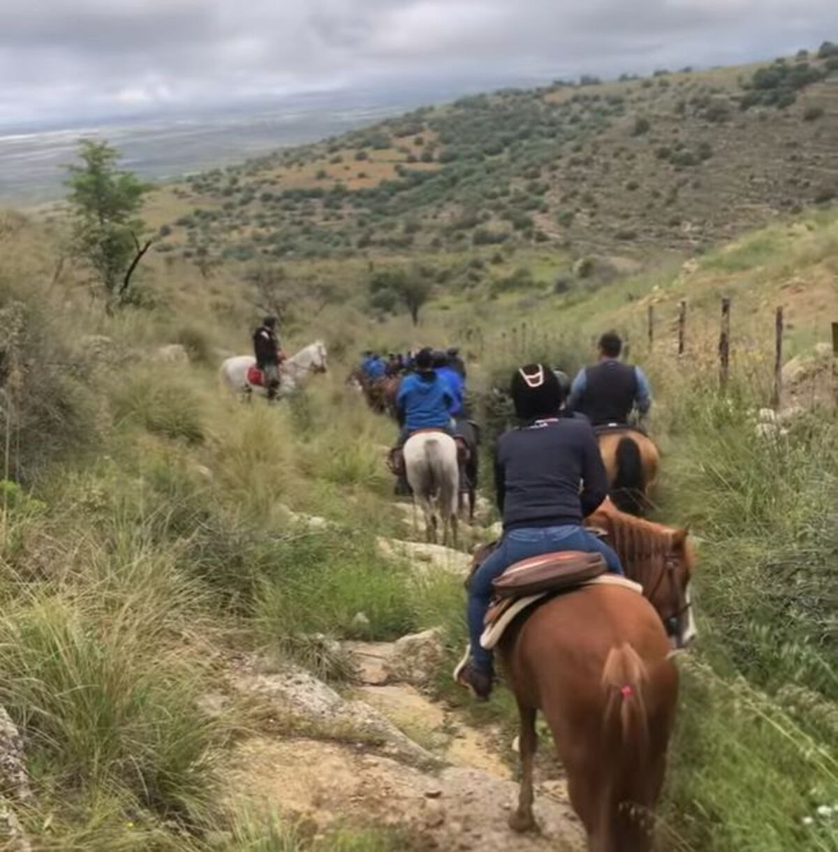 A cavallo tra le mulattiere di Chiaramonte Gulfi VIDEO