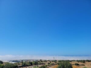 Da Marina di Ragusa a Cava d'Aliga, la lupa sta avvolgendo la costa iblea