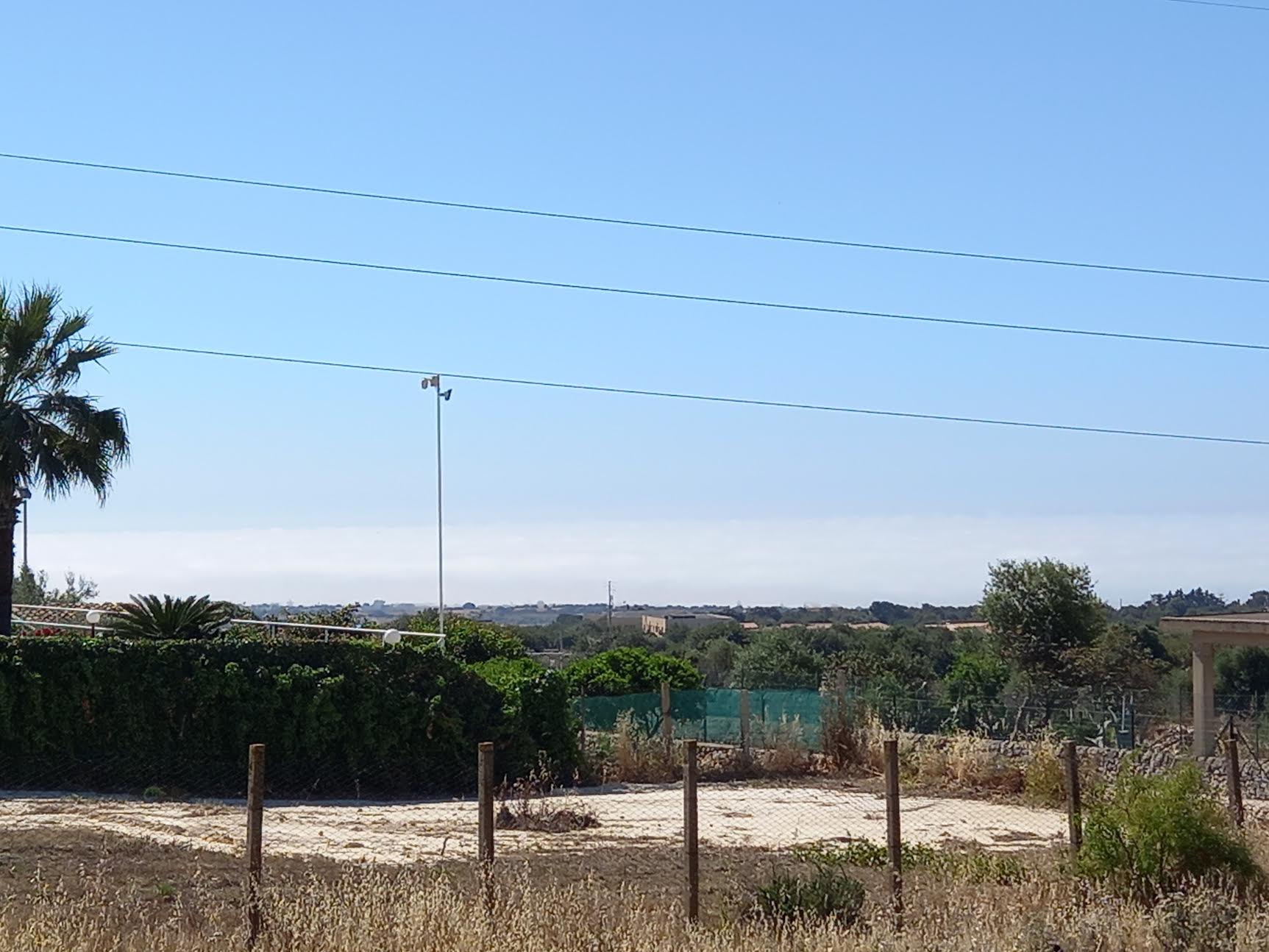 Ecco la lupa a Santa Maria del Focallo e Punta Secca VIDEO