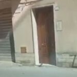 Topi a Chiaramonte Gulfi VIDEO