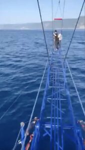 Un grosso squalo ripreso da pescatori nello Stretto di Messina
