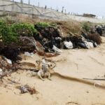 Spiagge di rifiuti, 12 a ogni passo sulla sabbia: i lidi siciliani off-limi