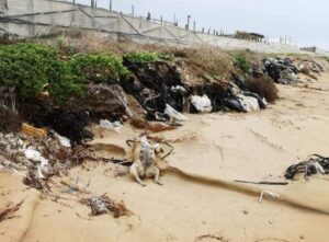 Spiagge di rifiuti, 12 a ogni passo sulla sabbia: i lidi siciliani off-limi
