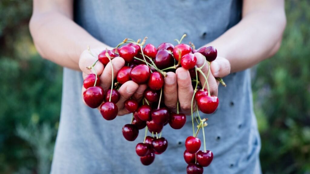 La dieta delle ciliegie: dimagrire con gusto, schema dei tre giorni