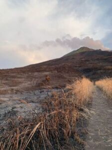 Incendio Stromboli: sindaco Lipari presenta esposto